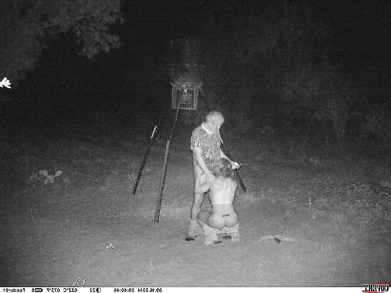6P My Wildlife Camera