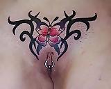 8P Bunte Muschis 