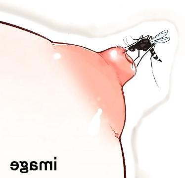 8P Nipples swollen with mosquito bites