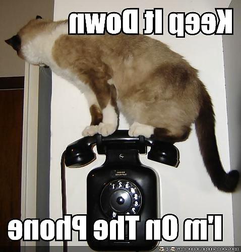 25P Some More Funnies 4