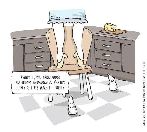 25P Some More Funnies 4