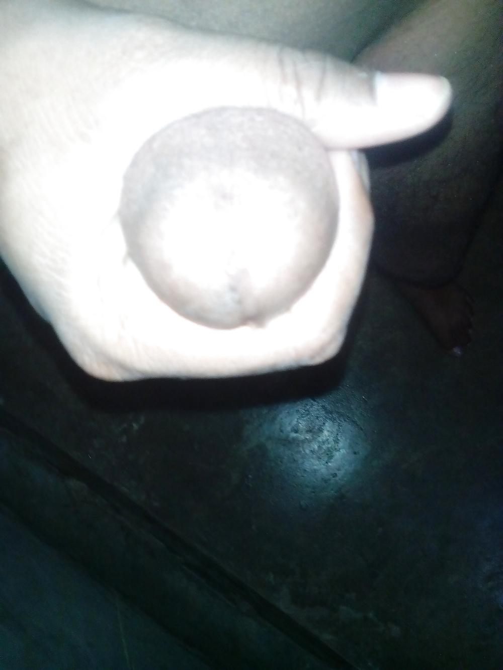 20P My panis