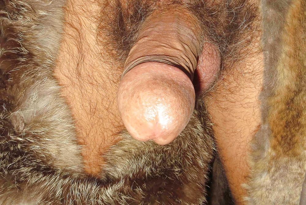 25P FUR
