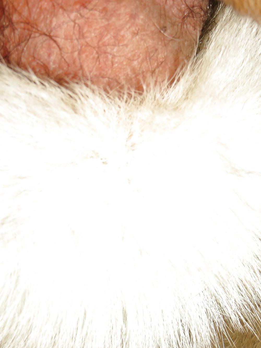 25P FUR