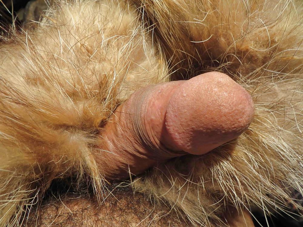 25P FUR