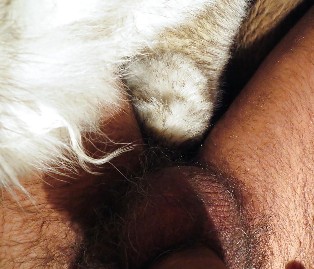 25P FUR