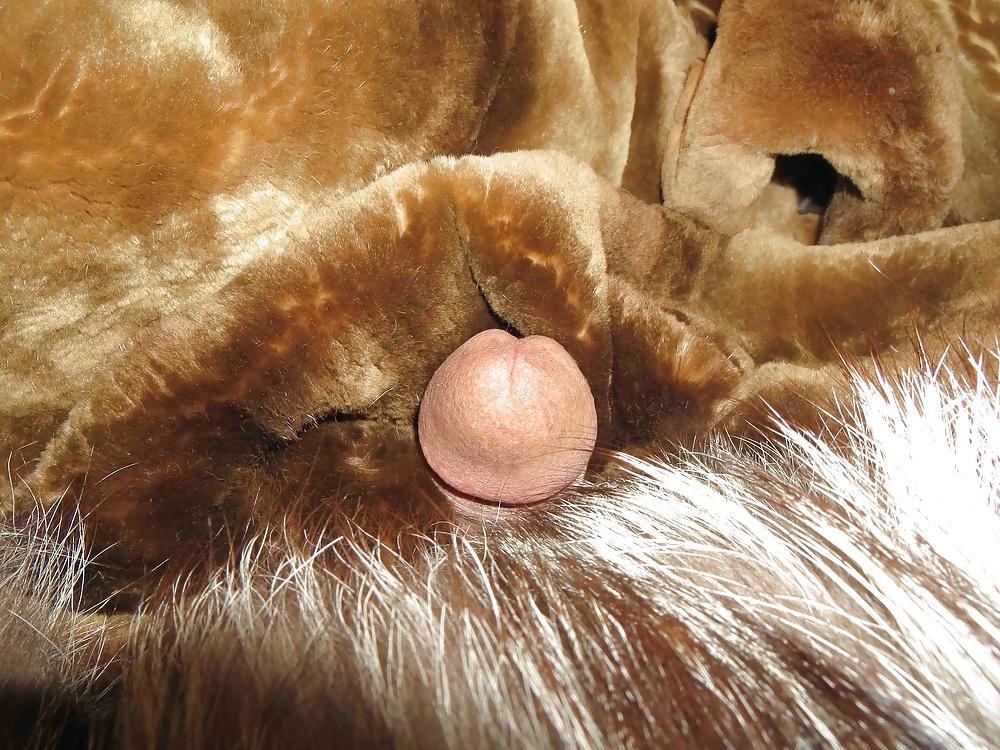 25P FUR