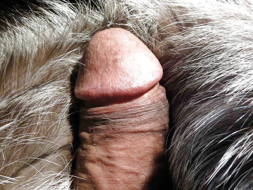 25P FUR