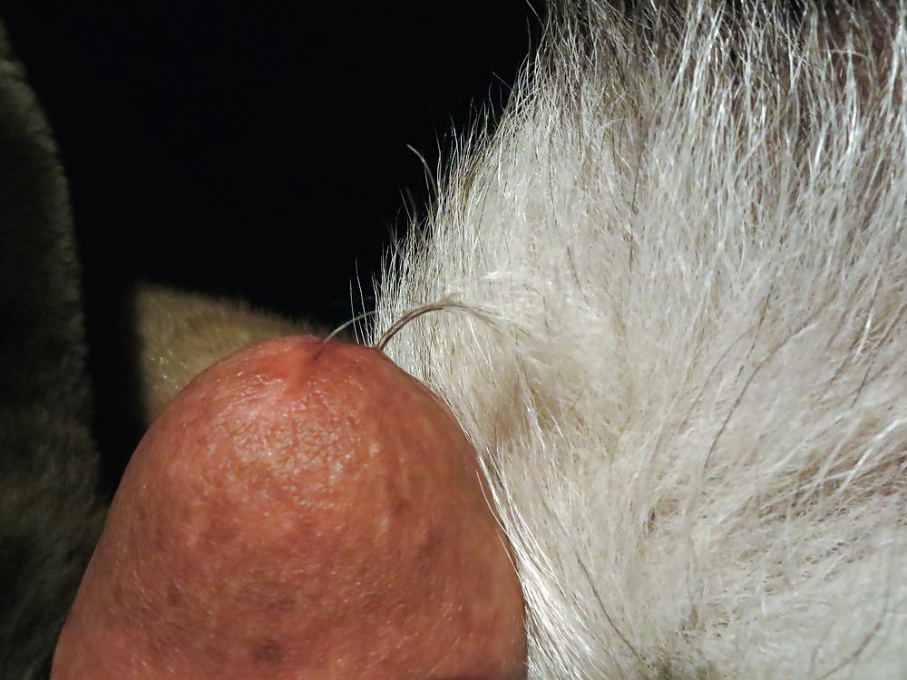 25P FUR