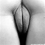 14P Mmmmmmlips