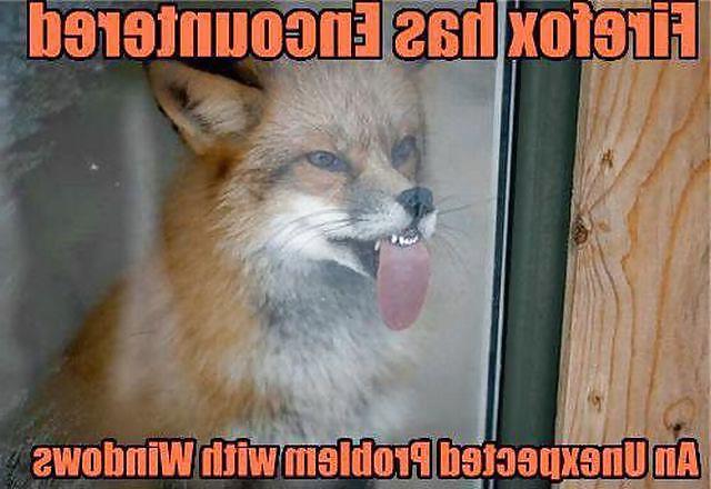 25P Some More Funnies 3