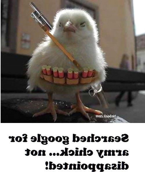 25P Some More Funnies 1
