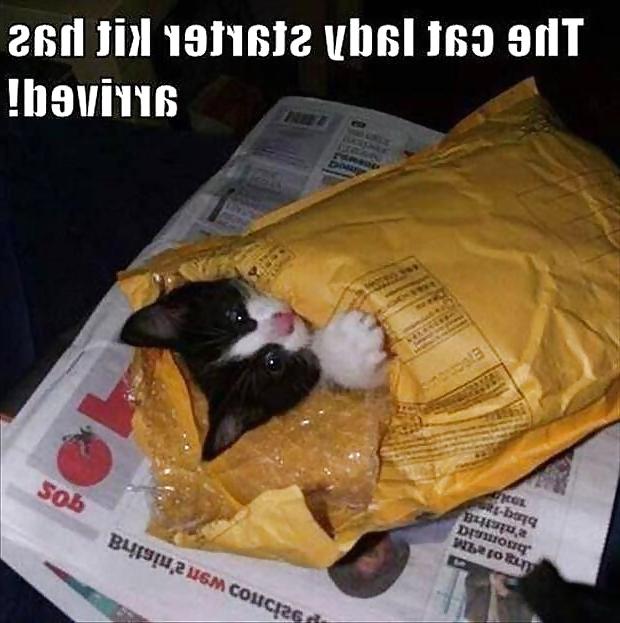 25P Some More Funnies 1