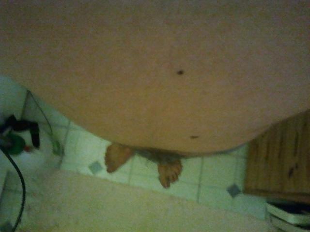 5P Belly inflation 4L water