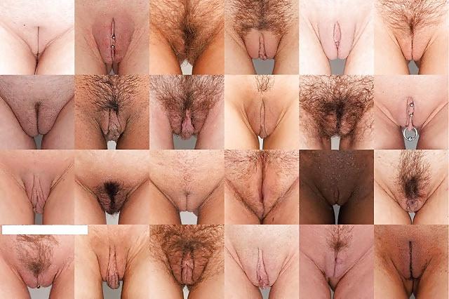 25P Qual a sua?