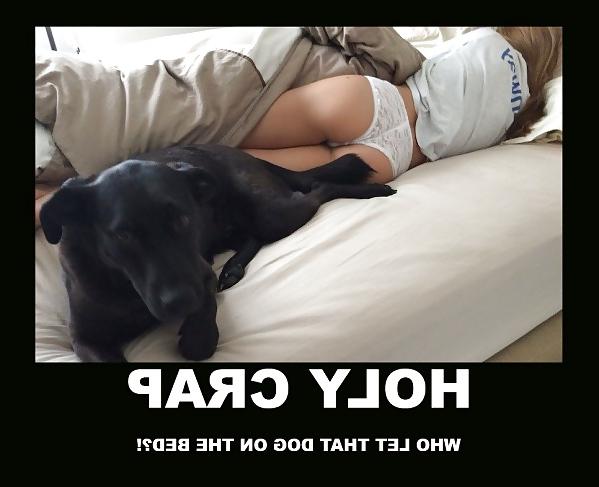 14P Funny