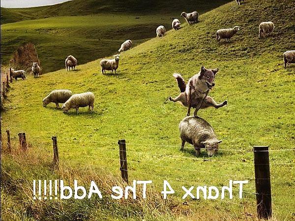 19P FUN AND SATIRE 1