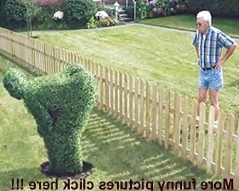 19P FUN AND SATIRE 1