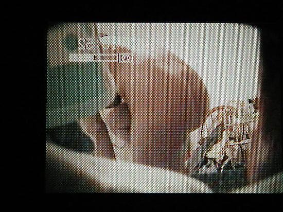 25P MY MILF WIFE GETTING DRESSED PICTURES FROM HIDDEN CAM VIDEO