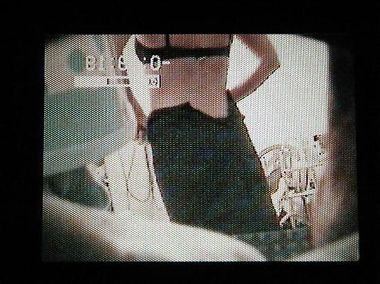 25P MY MILF WIFE GETTING DRESSED PICTURES FROM HIDDEN CAM VIDEO