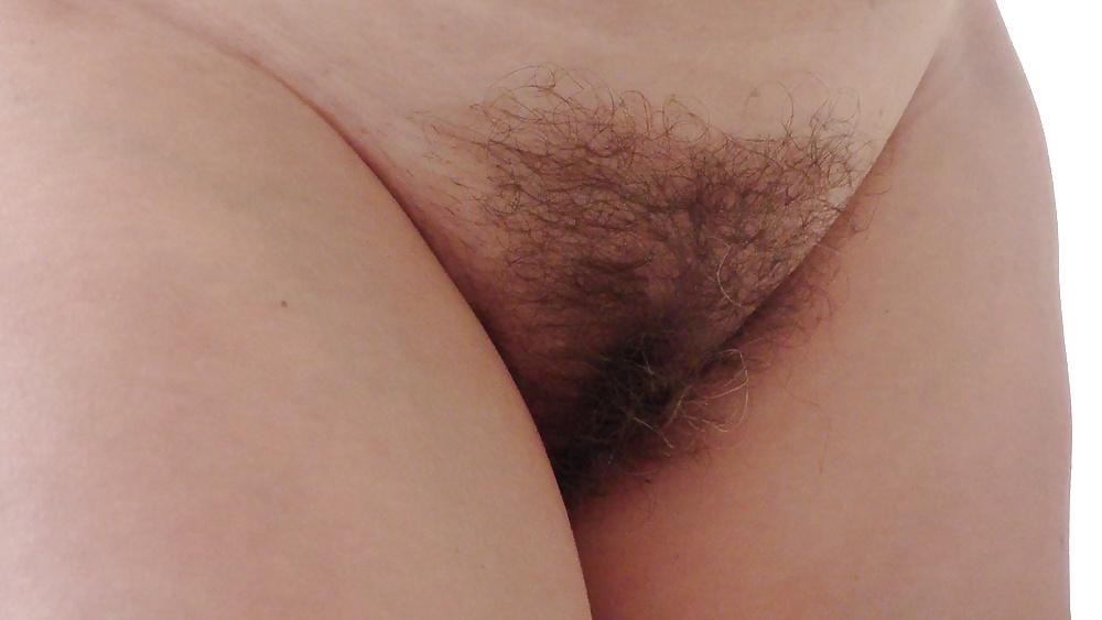 8P Hairy cunt my wife