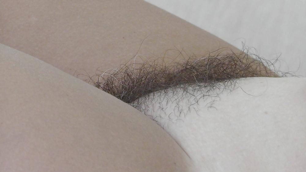 8P Hairy cunt my wife
