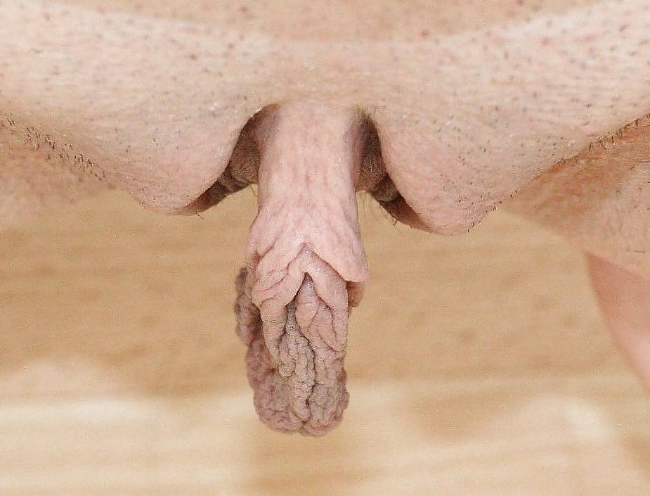 17P Pussylips