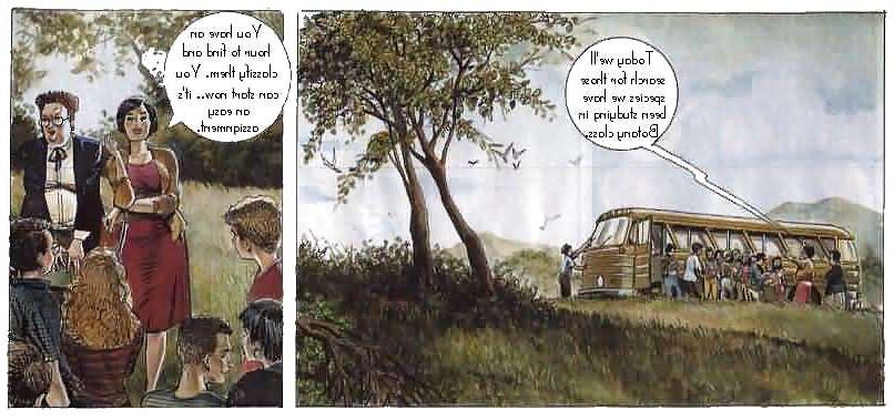 12P 95 Cartoon