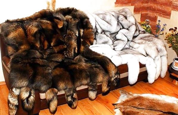 19P Fur Bed - pleasure on fur