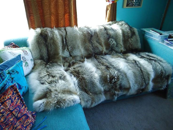 19P Fur Bed - pleasure on fur