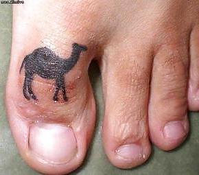 6P CELEBS CAMEL TOES