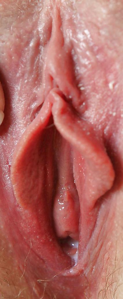 25P Only pussy and clit