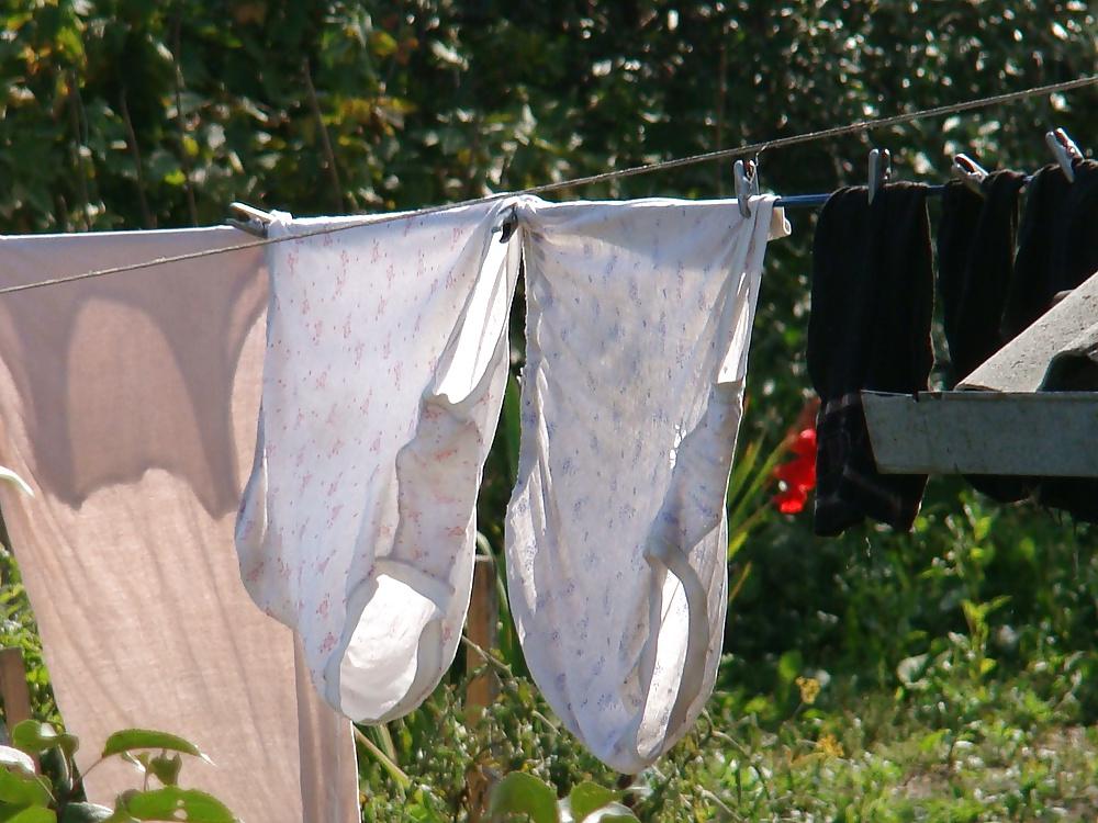 19P Knickers and panties on a clothesline! Amateur!