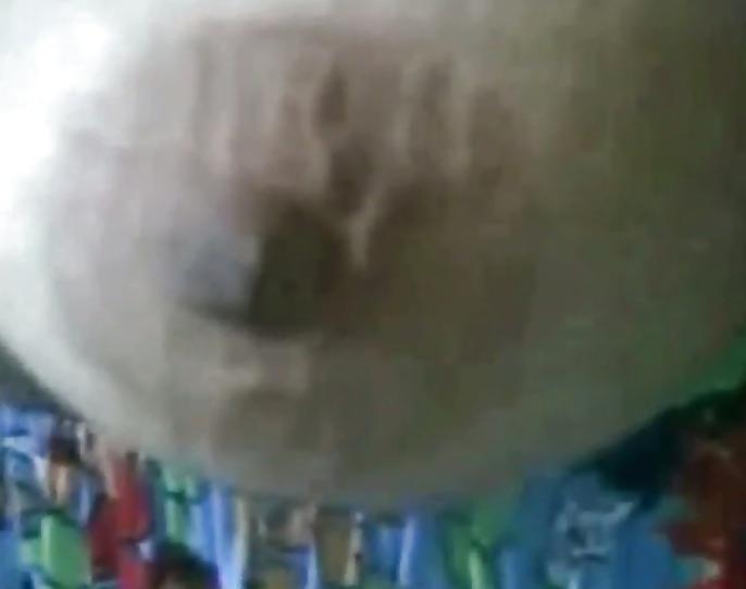 25P Slut Mature Show tits and Pussy