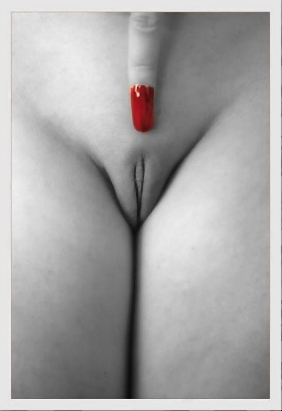 16P Dicks & Fannys-num-001