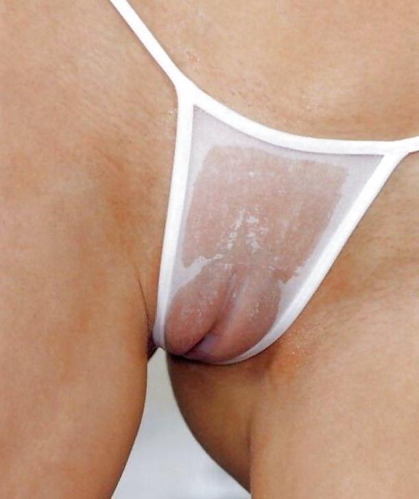 25P Camel Toes 3