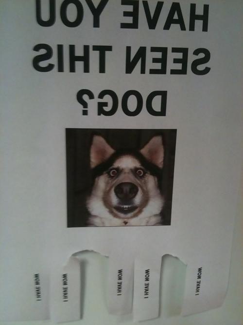 7P Things that make me laugh Part 3