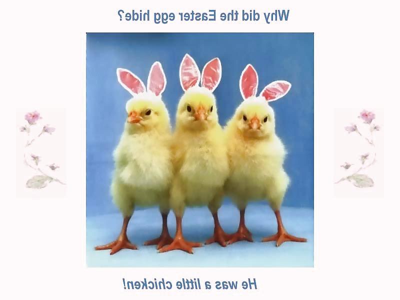 15P Easter Cartoons