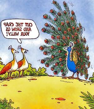 8P Funny Pics.