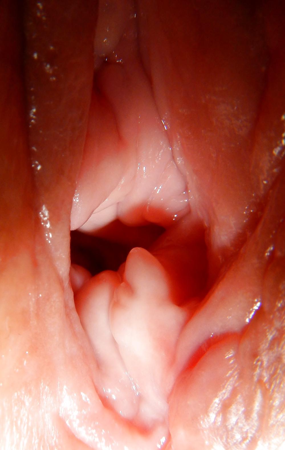 25P Pussy Show