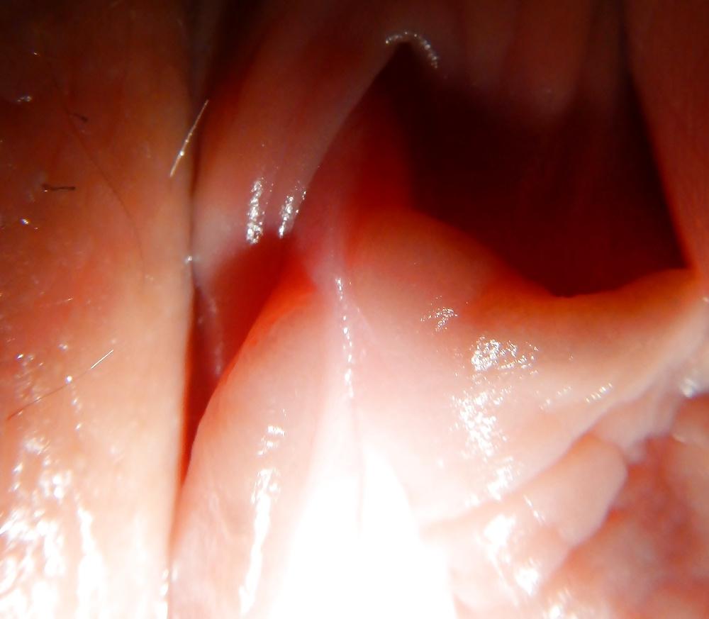 25P Pussy Show