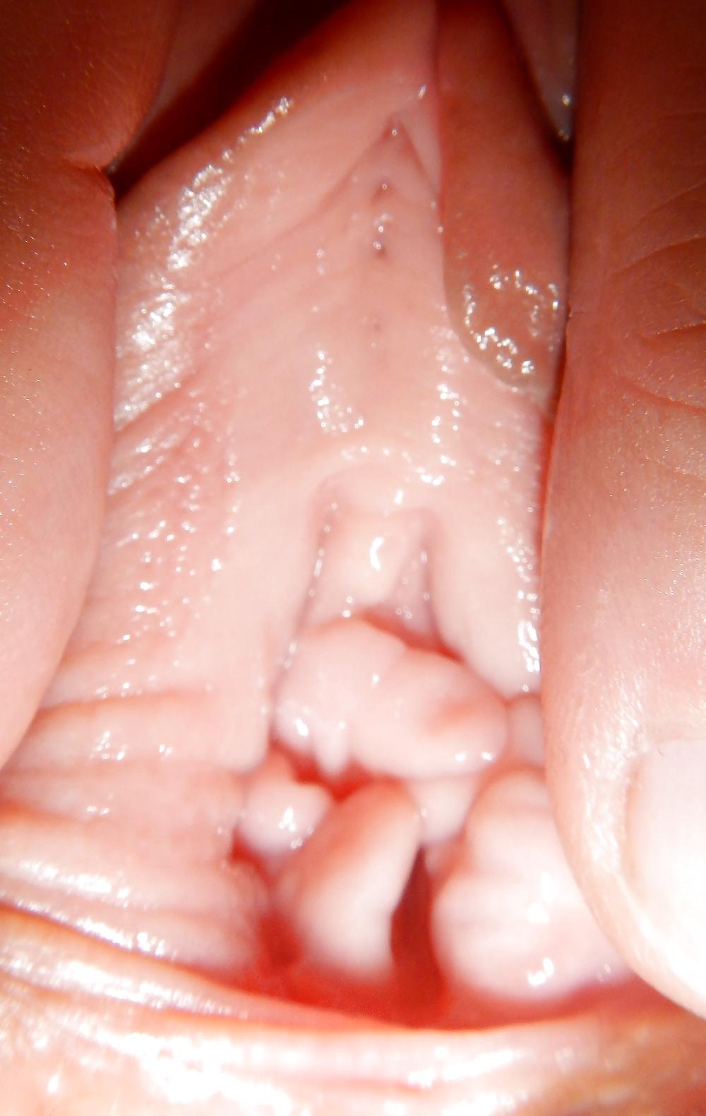 25P Pussy Show