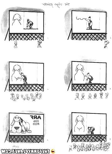 8P Funny pics.
