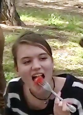 25P Spy picnic and forest romanian