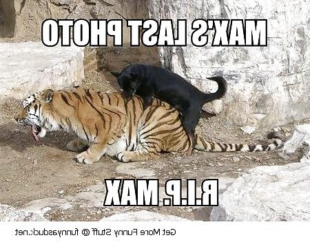 7P Funny