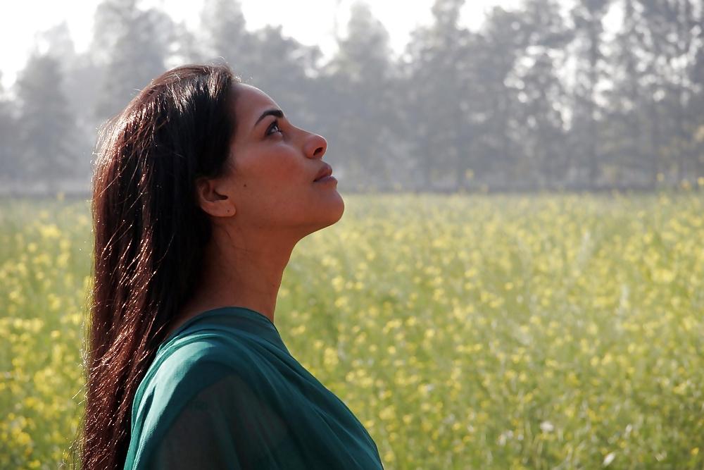 25P Let's Jerk Off Over ... Sarita Choudhury