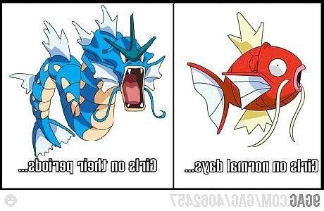 24P Something funny 8