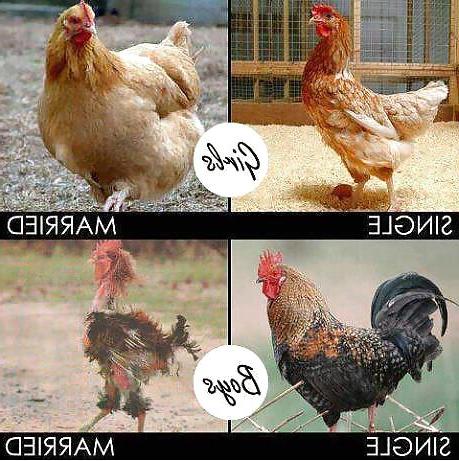24P Something funny 9