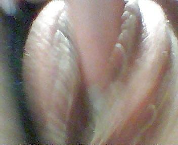 14P Visibly Wet, Creamy or Dripping Pussy 3