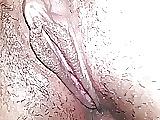 21P Vagina